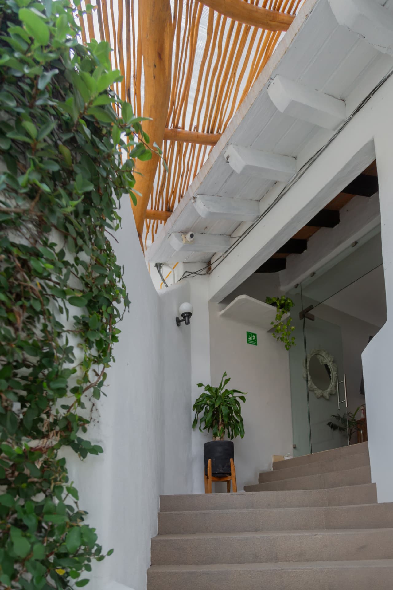 Interior stairs surrounded by greenery