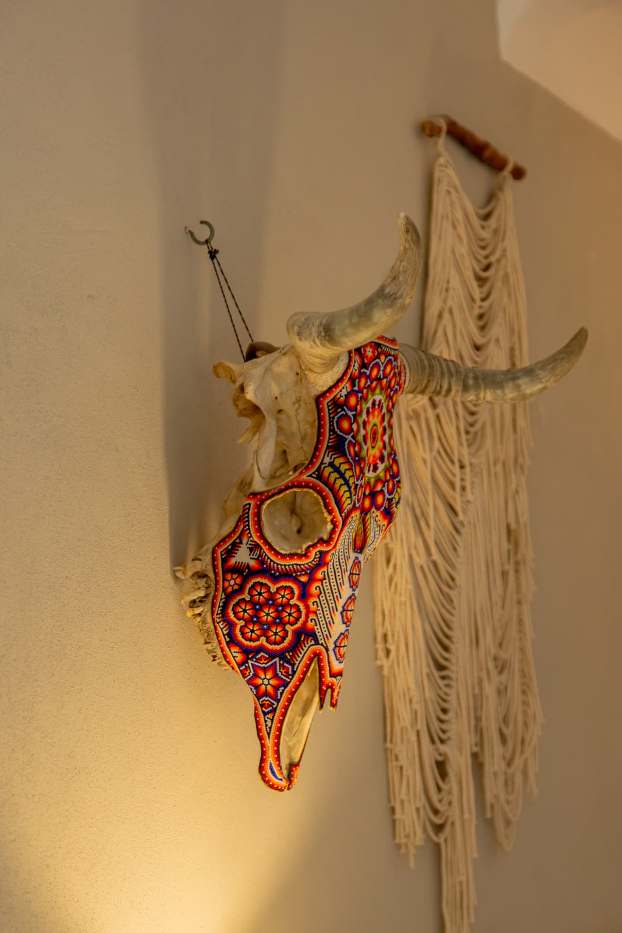 Detalle del cráneo Huichol en la pared de la habitación 107