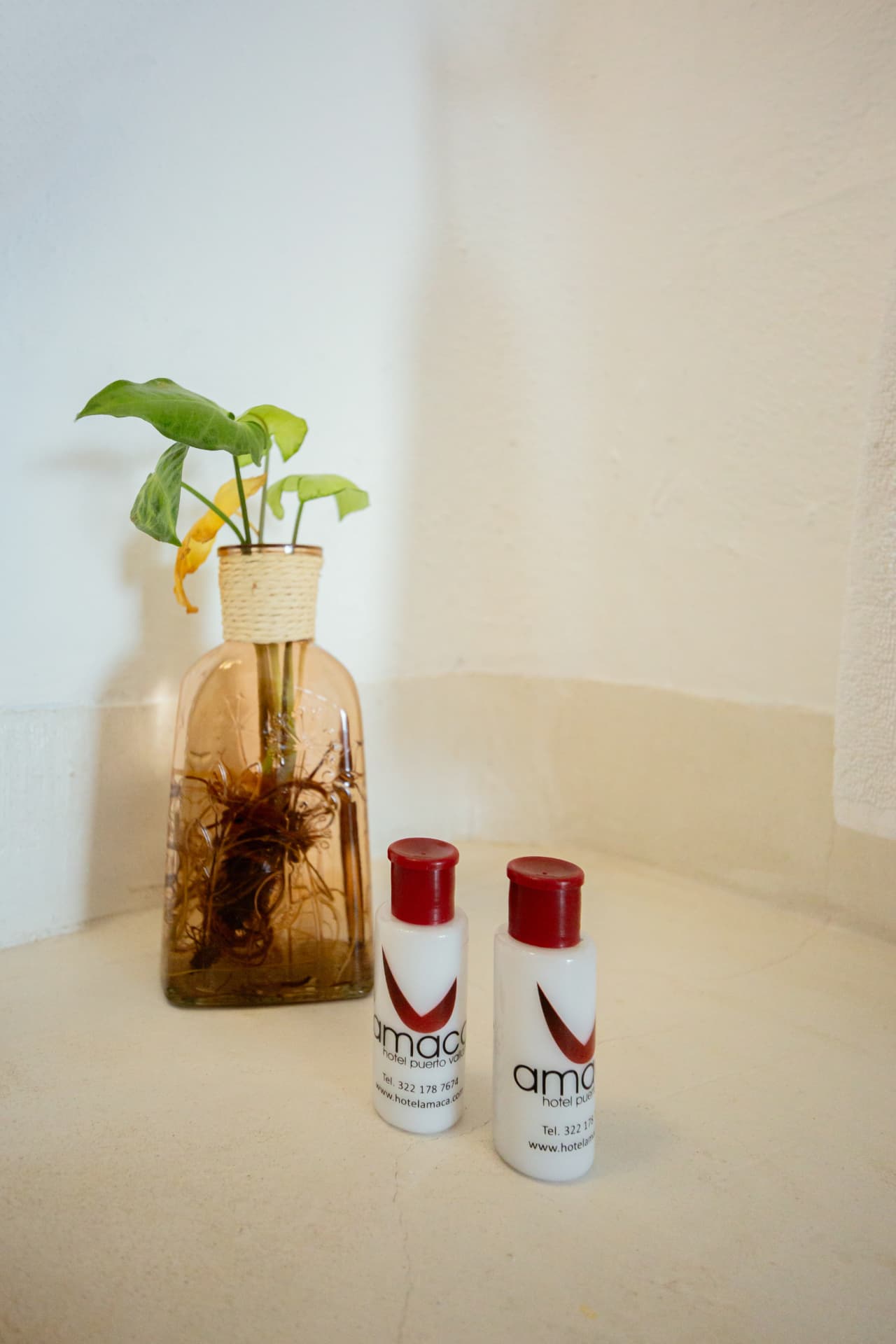 Artículos de cortesía Amaca junto a una planta