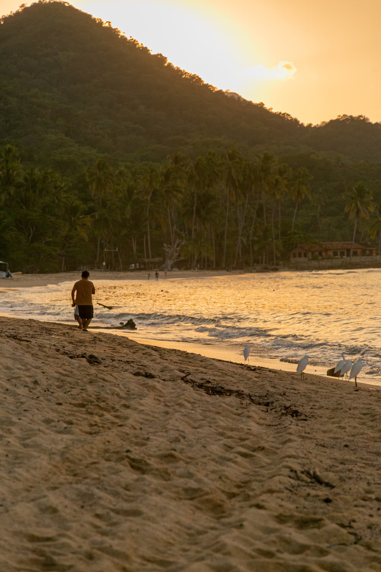 Atardecer dorado en la playa de Quimixto